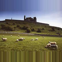 Alternate image for Rock of Cashel Co Tipperary Photographic Print