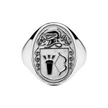 Alternate image for Irish Coat of Arms Jewelry | Mens Oval Shield Solid Heavy Ring